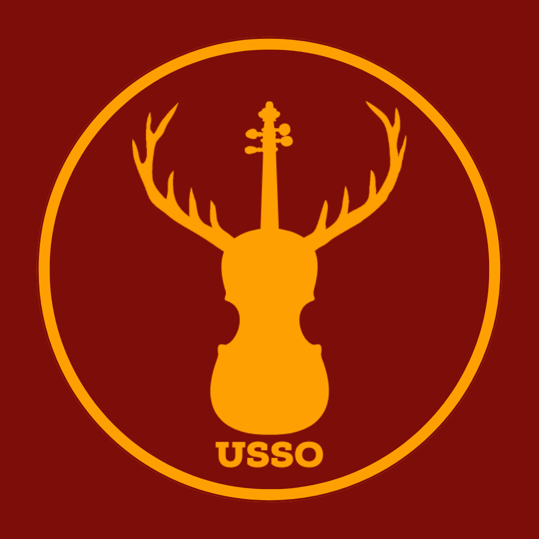 University of Surrey String Orchestra